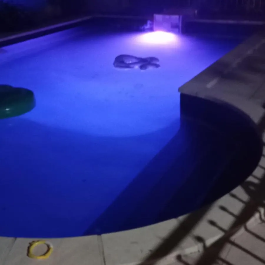 Appart Independant, 1 Lit Deux Personnes Et 1 Appoint Piscine Jardin Direct Gare Aeroport Et Jardin Toulouse